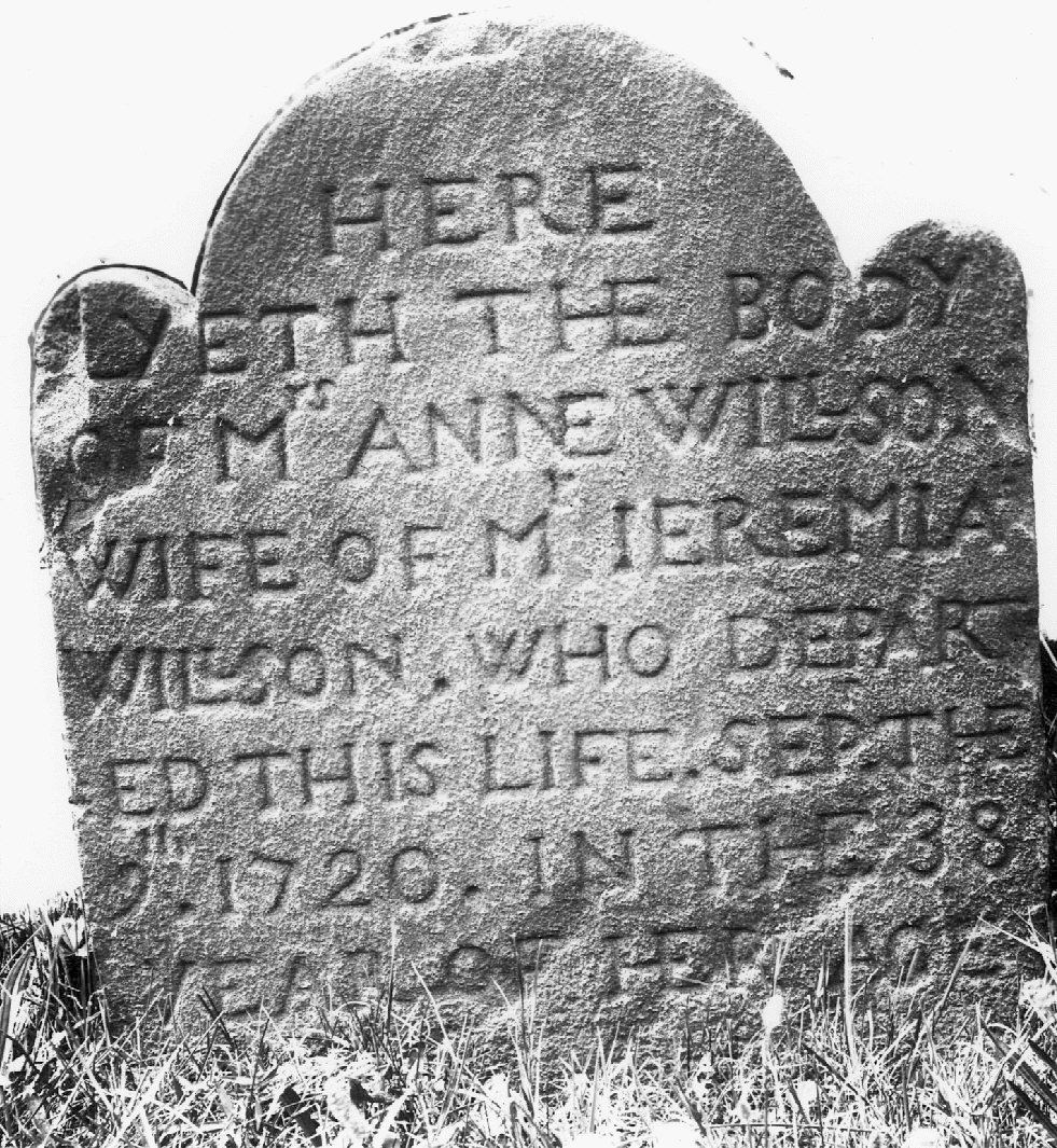 Willson, Anne